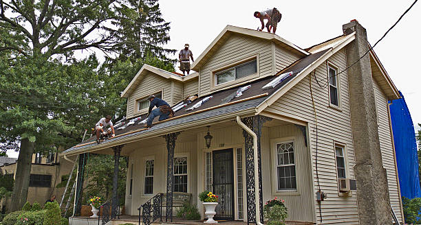 Best Roof Maintenance Services  in Vine Grove, KY